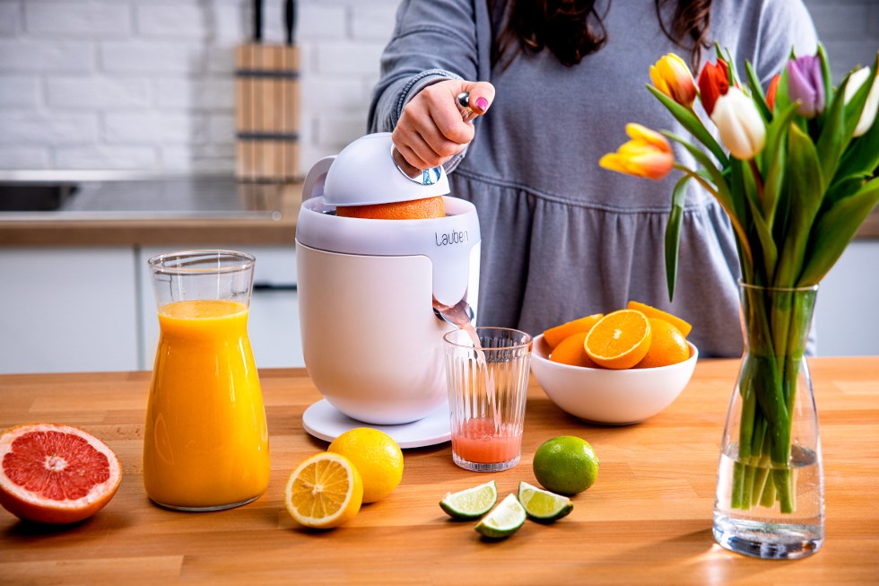 Lauben Electric Citrus Juicer 110WT - odšťavňovač Anti Drip